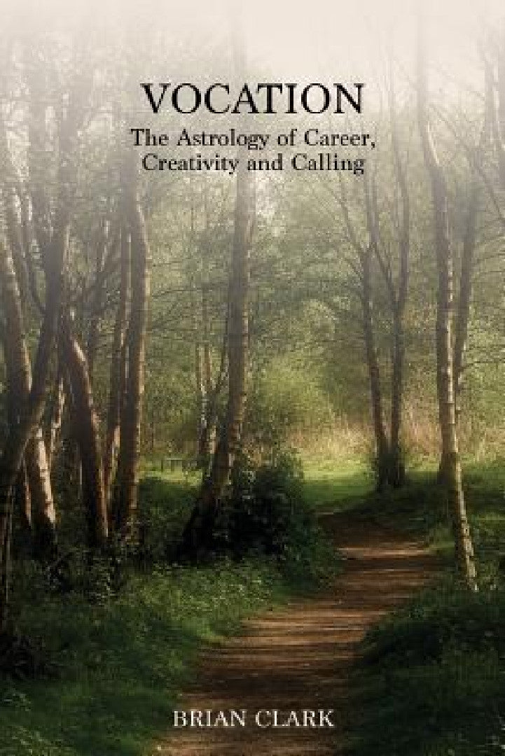 Buy Vocation (English, Brian Clark) — BookShops.in