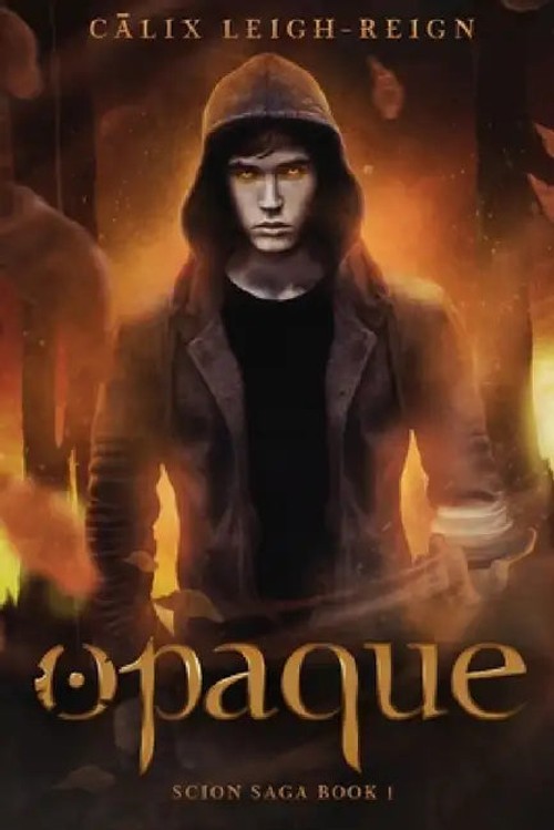 Opaque – Young Adult Supernatural Thriller Hardcover view 4