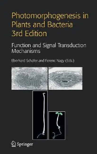 Buy Photomorphogenesis in Plants and Bacteria | by Eberhard Schäfer | Ferenc Nagy | Springer | by Eberhard Schäfer | Ferenc Nagy | Springer | by Eberhard Schäfer | Ferenc Nagy | Springer | by Eberhard Schäfer | Ferenc Nagy | Springer | by Eberhard Schäfer | Ferenc Nagy | Springer | by Eberhard Schäfer | Ferenc Nagy | Springer | by Eberhard Schäfer | Ferenc Nagy | Springer | by Eberhard Schäfer | Ferenc Nagy | Springer | by Eberhard Schäfer | Ferenc Nagy | Springer | by Eberhard Schäfer | Ferenc Nagy — BookShops.in