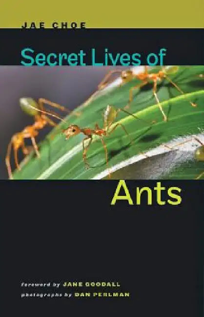 Buy Secret Lives of Ants (English, Jae Choe) — BookShops.in