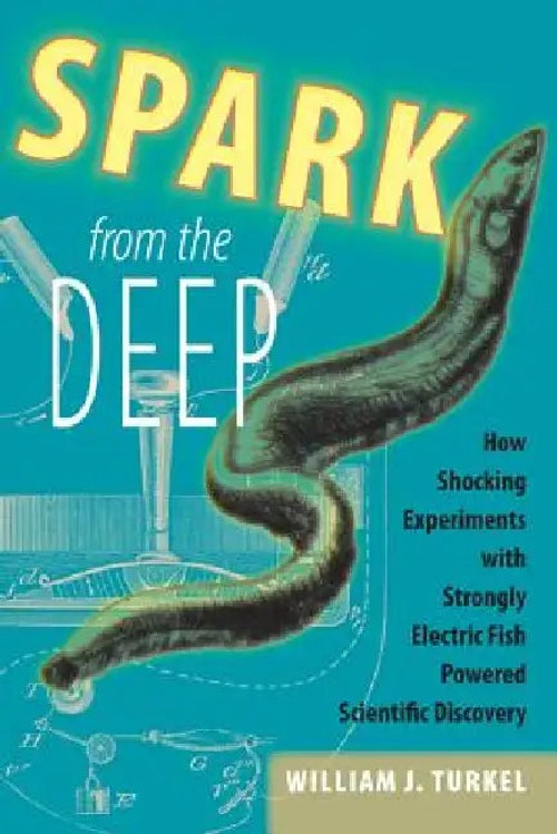 Spark from the Deep: How Shocking Experiments With Strongly Electric Fish Powered Scientific Discovery view 2