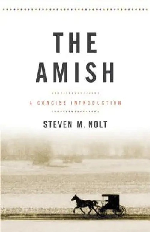 The Amish: A Concise Introduction by Steven M. Nolt – Johns Hopkins University Press view 2