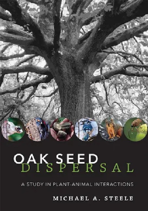 Oak Seed Dispersal by Michael A. Steele – Johns Hopkins University Press view 2