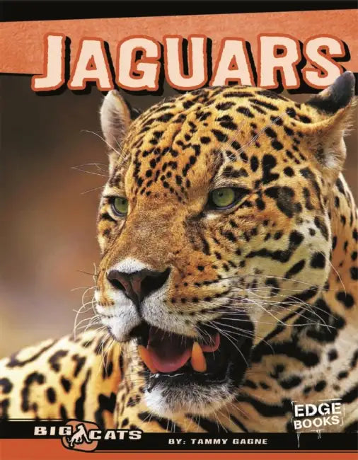 Buy Jaguars (English, Tammy Gagne | Zoological Society of San Diego) — BookShops.in