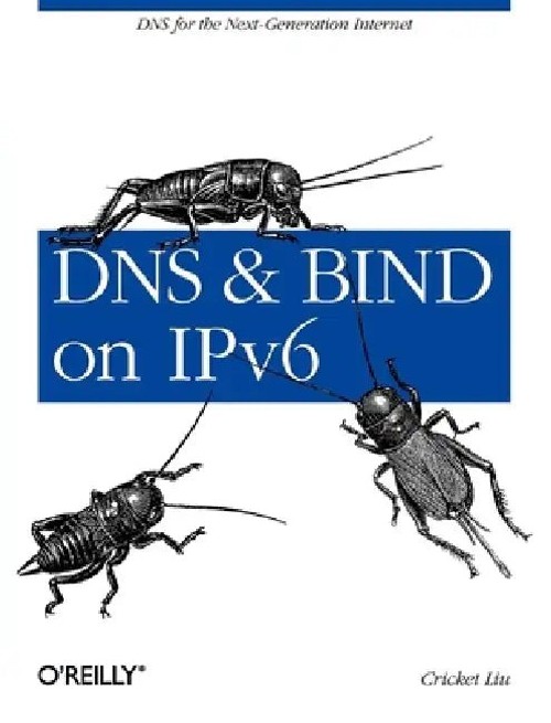 DNS and BIND on IPv6 - Cricket Liu view 2