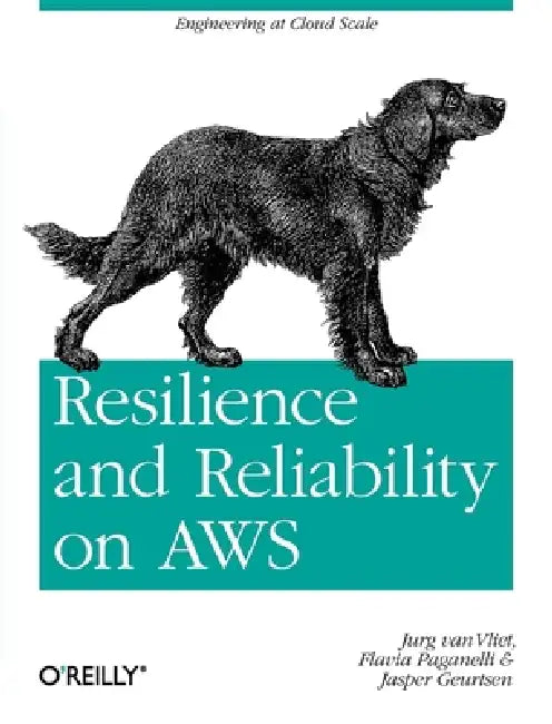 Resilience and Reliability on AWS (English, Jurg Van Vliet | Flavia Paganelli | Jasper Geurtsen)