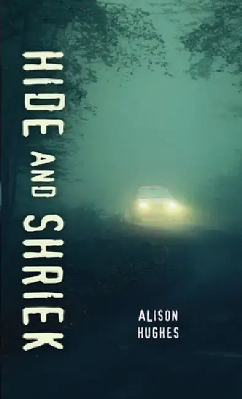 Hide and Shriek – Alison Hughes Thriller Novel view 2