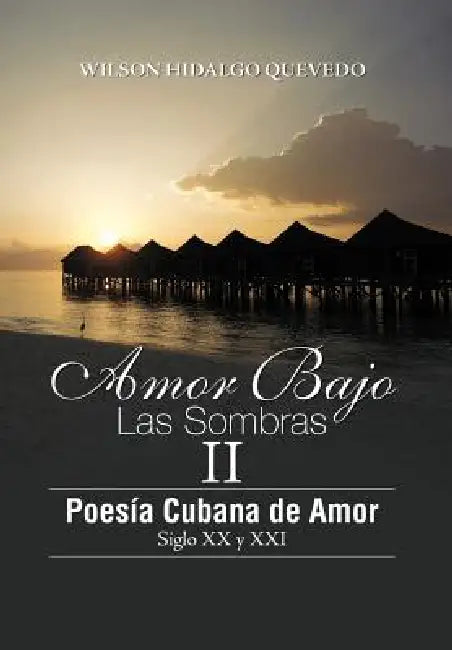 Buy Amor Bajo Las Sombras II (English, Wilson Hidalgo Quevedo) — BookShops.in