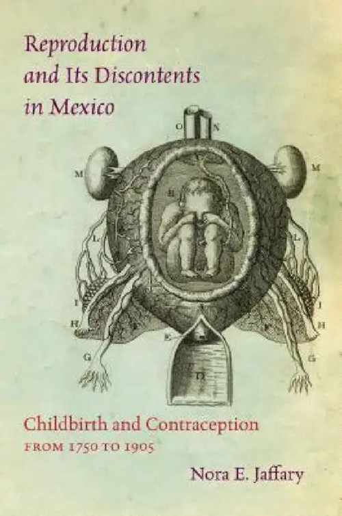 Reproduction and Its Discontents in Mexico: Childbirth and Contraception from 1750 to 1905 view 2