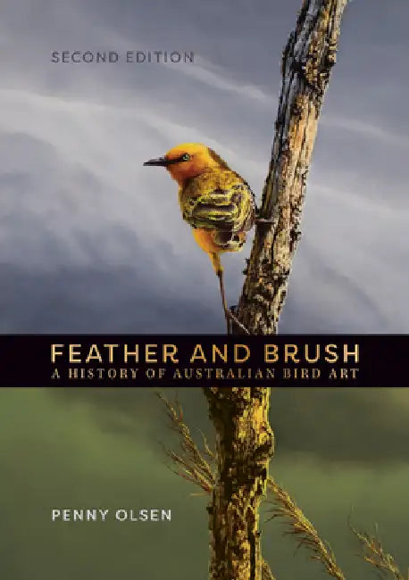 Buy Feather and Brush (English, Penny Olsen) — BookShops.in