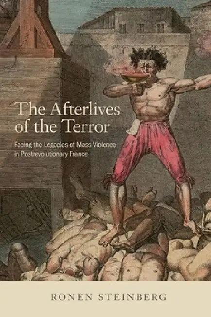 Buy The Afterlives of the Terror (English, Ronen Steinberg) — BookShops.in