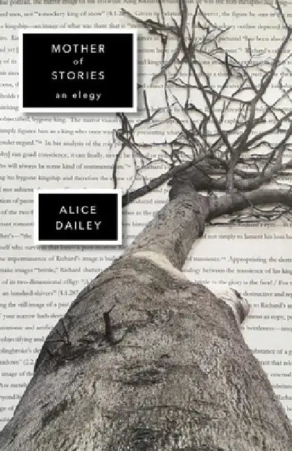 Mother of Stories (English, Alice Dailey)