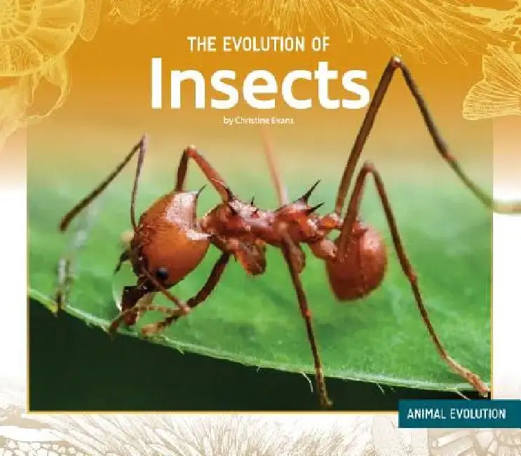 The Evolution of Insects (Animal Evolution) view 2