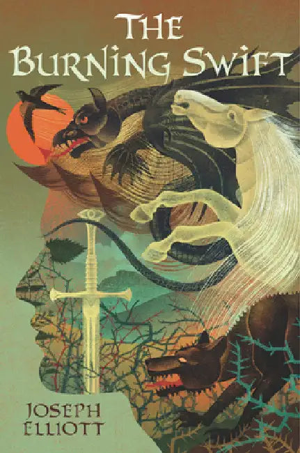 Buy The Burning Swift (English, Joseph Elliott) — BookShops.in