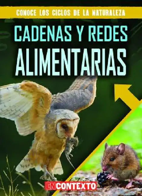 Buy Cadenas Y Redes Alimentarias (Food Chains and Webs) (English, Bray Jacobson | Alberto Jiménez) — BookShops.in