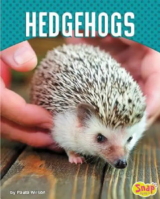 Buy Hedgehogs (English, Paula M. Wilson) — BookShops.in
