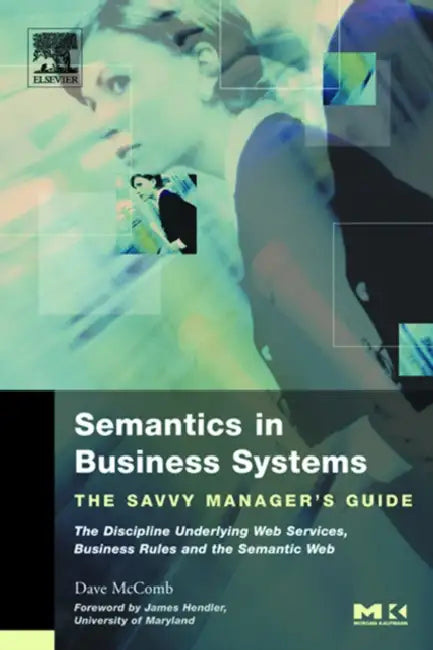 Semantics in Business Systems (English, Dave McComb)