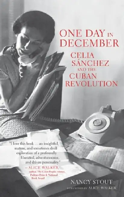 Buy One Day in December (English, Nancy Stout | Alice Walker) — BookShops.in