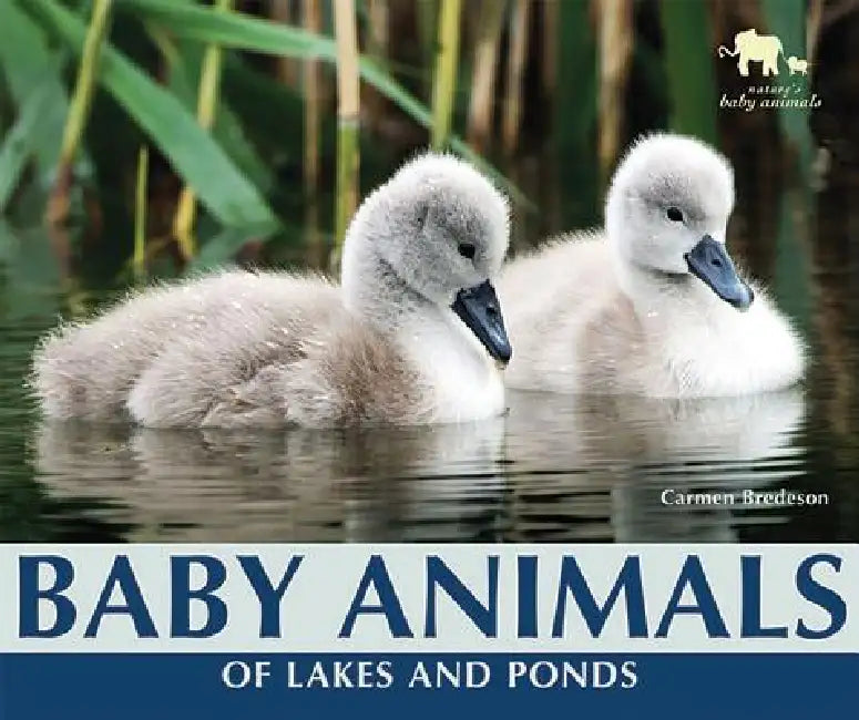 Buy Baby Animals of Lakes and Ponds (English, Carmen Bredeson) — BookShops.in