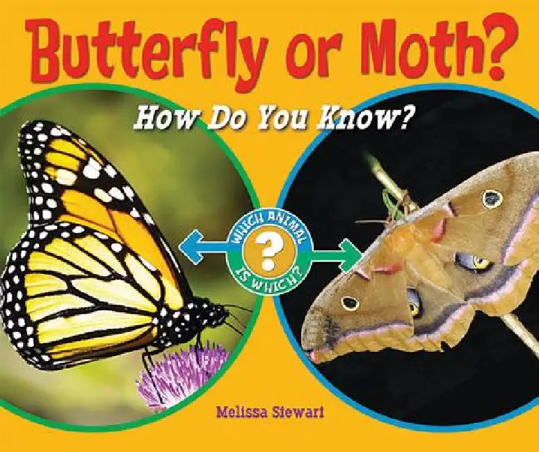 Buy Butterfly or Moth? (English, Melissa Stewart) — BookShops.in