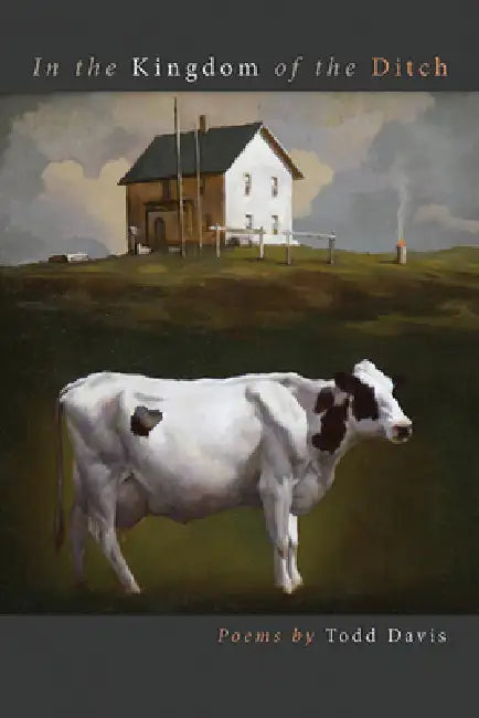 Buy In the Kingdom of the Ditch (English, Todd Davis) — BookShops.in