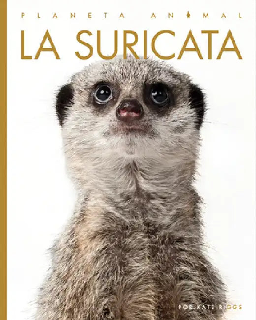 Buy La Suricata (English, Valerie Bodden) — BookShops.in