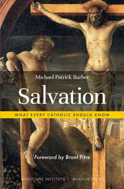 Buy Salvation (English, Michael Patrick Barber) — BookShops.in