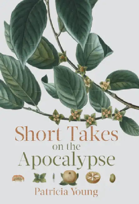 Short Takes on the Apocalypse (English, Patricia Young)
