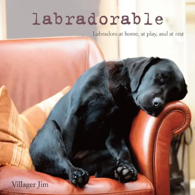 Buy Labradorable (English, Jim | Villager) — BookShops.in