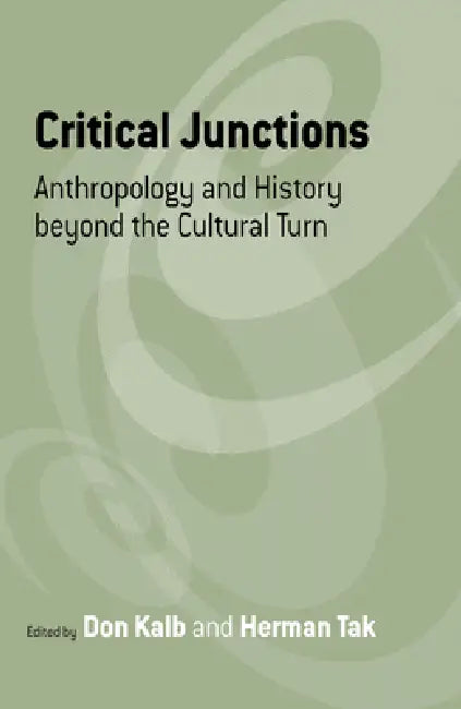 Critical Junctions (English, Don Kalb | Herman Tak)
