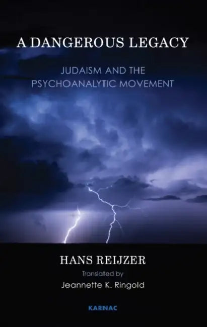 Buy A Dangerous Legacy (English, Hans Reijzer | Jeanette K. Ringold) — BookShops.in