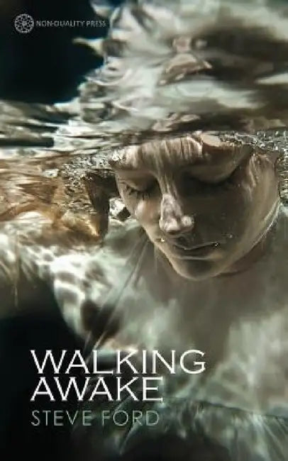 Buy Walking Awake (English, Steve Ford) — BookShops.in