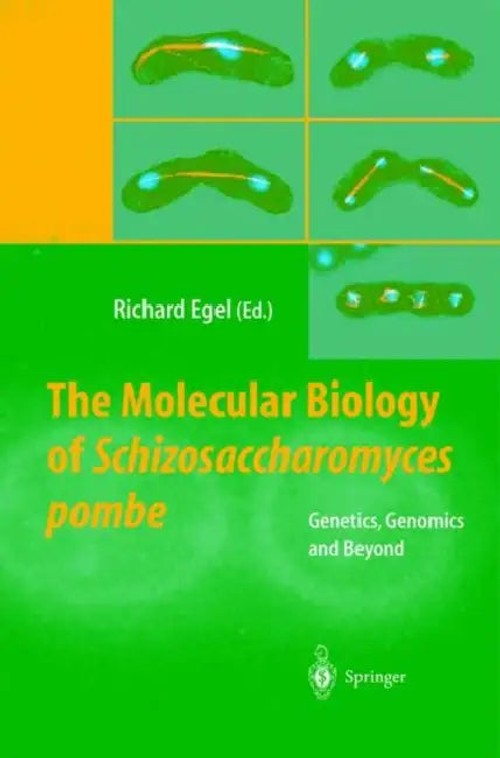 The Molecular Biology of Schizosaccharomyces pombe: Genetics, Genomics and Beyond – Richard Egel view 2