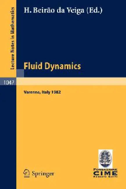 Buy Fluid Dynamics (English, H. Beirao Da Veiga) — BookShops.in