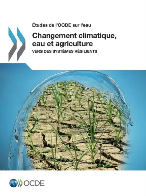 Buy Etudes de L'Ocde Sur L'Eau Changement Climatique, Eau Et Agriculture (English, OECD) — BookShops.in