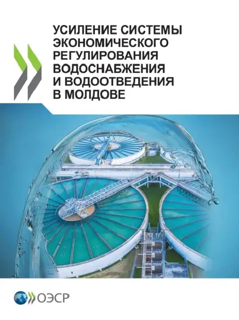 Buy УСИЛЕНИЕ СИСТЕМ& (English, Oecd) — BookShops.in