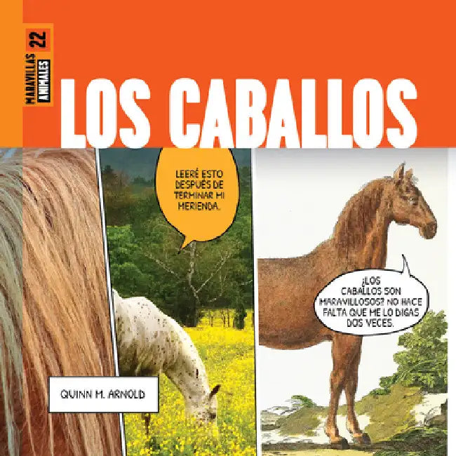 Buy Los Caballos (English, Quinn M. Arnold | Cat Jenkins) — BookShops.in