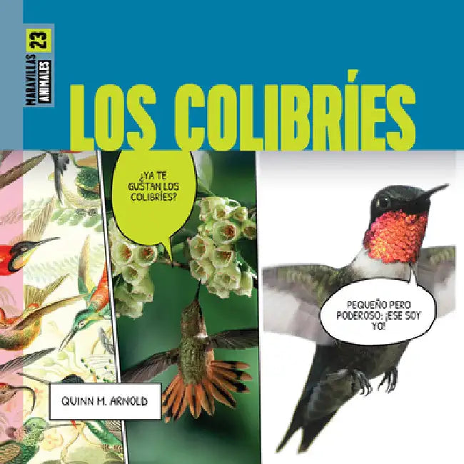 Buy Los Colibríes (English, Quinn M. Arnold) — BookShops.in