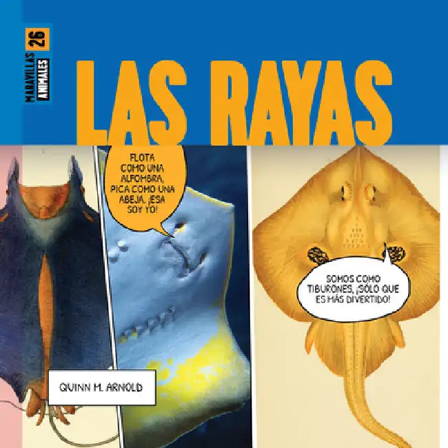 Buy Las Rayas (English, Quinn M. Arnold | Kugu Soykan) — BookShops.in