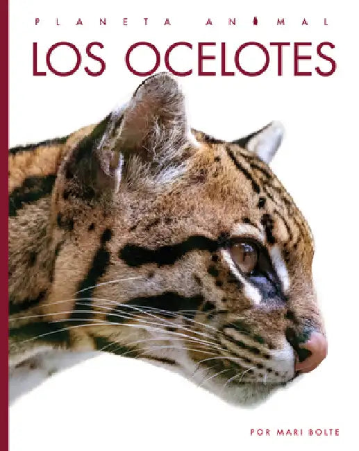 Buy Los Ocelotes (English, Mari Bolte) — BookShops.in