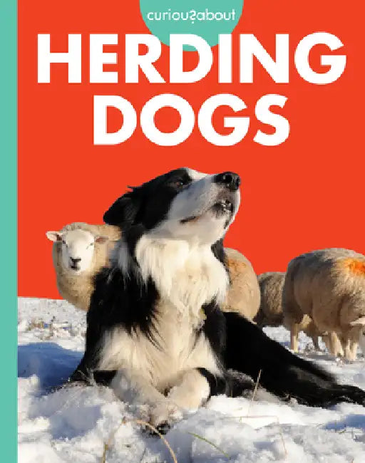 Buy Curious about Herding Dogs (English, Cari Meister) — BookShops.in