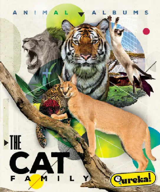Buy The Cat Family (English, Golriz Golkar) — BookShops.in