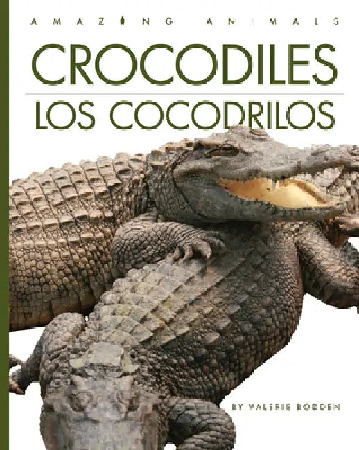 Buy Crocodiles / Los Cocodrilos (English, Valerie Bodden) — BookShops.in