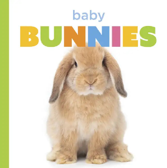 Buy Baby Bunnies (English, Laura K. Murray) — BookShops.in