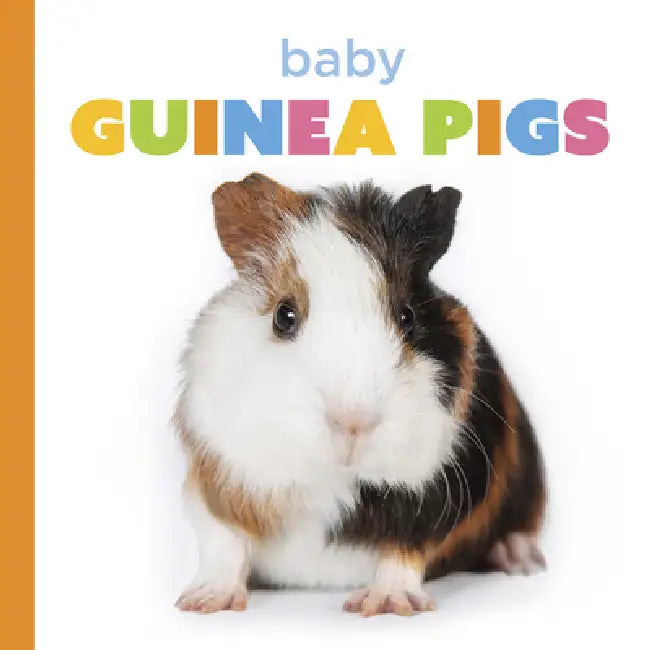 Buy Baby Guinea Pigs (English, Laura K. Murray) — BookShops.in
