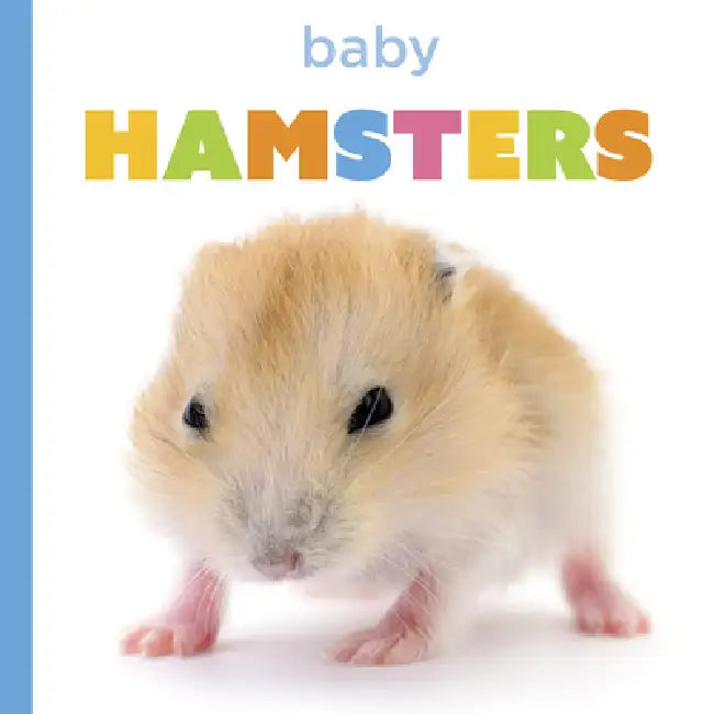Buy Baby Hamsters (English, Laura K. Murray) β BookShops.in