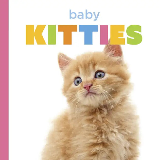 Buy Baby Kitties (English, Laura K. Murray) — BookShops.in