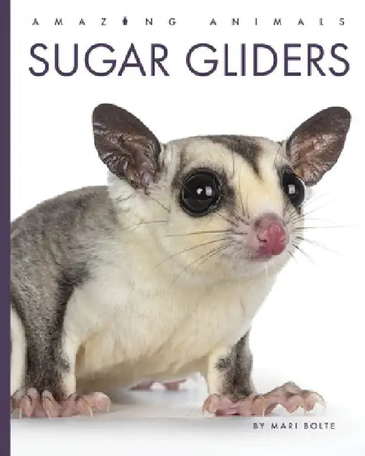 Buy Sugar Gliders (English, Mari Bolte) — BookShops.in