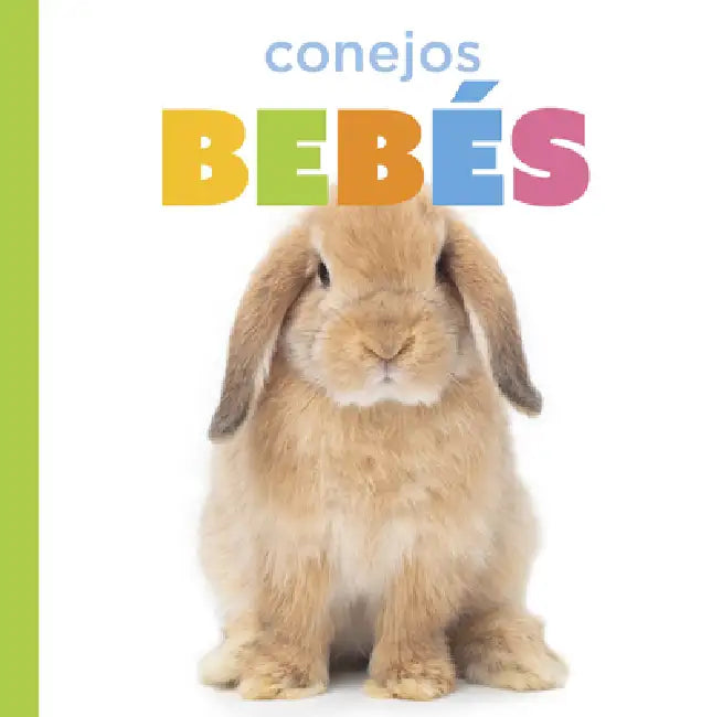 Buy Conejos Bebés (English, Laura K. Murray) — BookShops.in