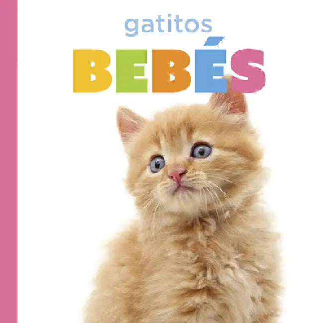 Buy Gatitos Bebés (English, Laura K. Murray) — BookShops.in